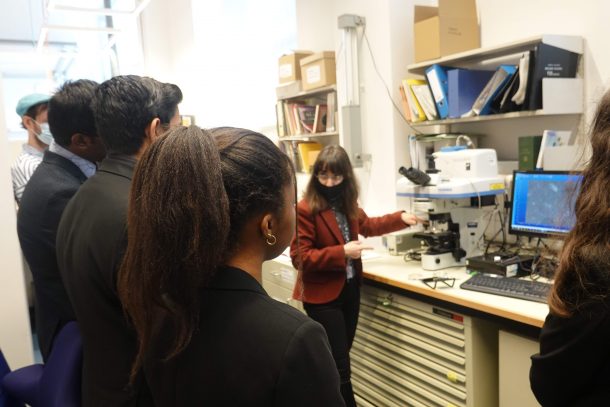 students look at digital microscope