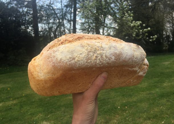 One of the author’s amateur attempts at home bread-making