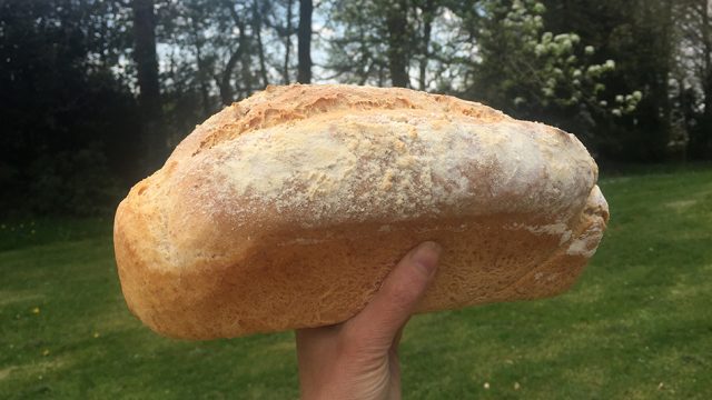 One of the author’s amateur attempts at home bread-making