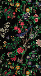 Chinese Magpie wallpaper on black background