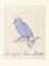 The Light-Blue Bird