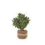 Felt potted rosemary herb decoration