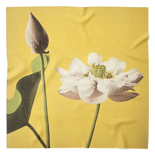 A square shaped scarf featuring a lotus flower on a yellow background.