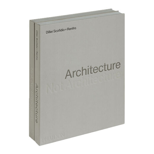 Architecture, Not Architecture: Diller Scofidio + Renfro