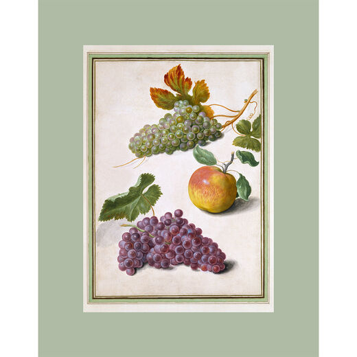 Grapes and Apples print by Johann Jakob Walther