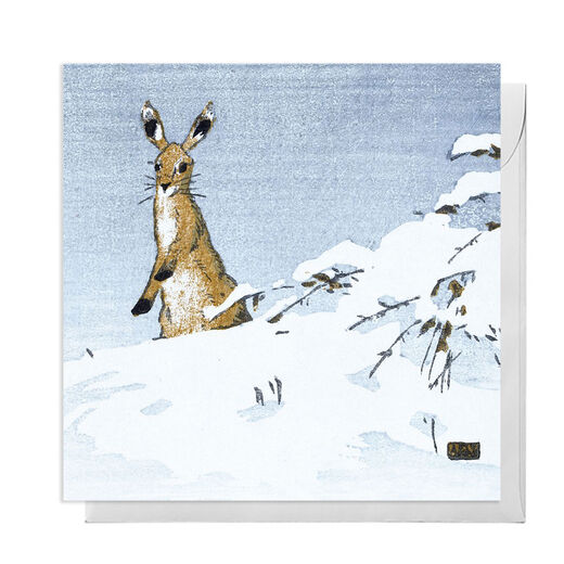 Pack of 8 greeting cards depicting a hare in the snow