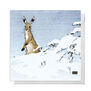 Pack of 8 greeting cards depicting a hare in the snow