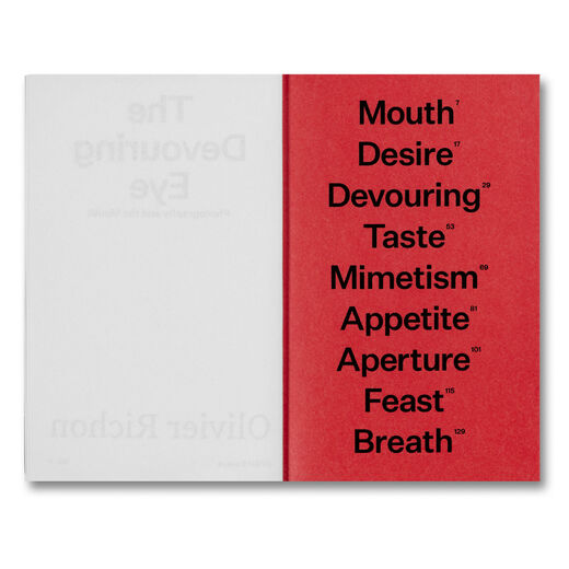 The Devouring Eye : Photography and the Mouth