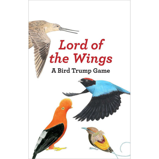 Lord of the wings card game