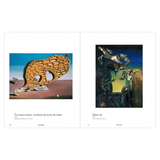 Dali in 400 Images
