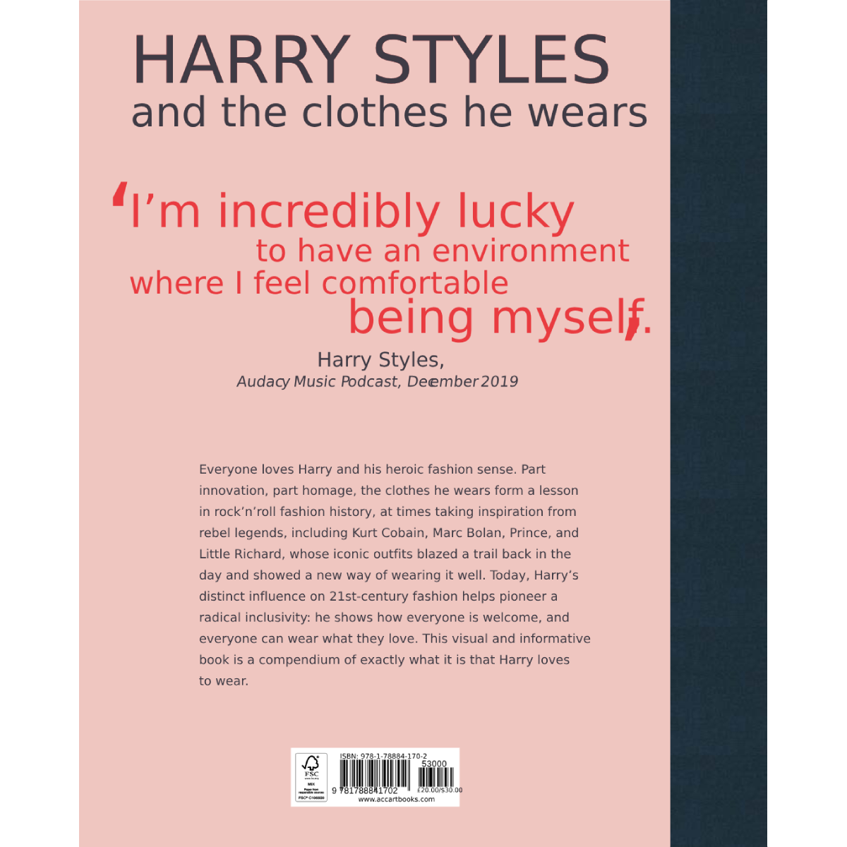 Harry Styles: And the Clothes He Wears main image 1