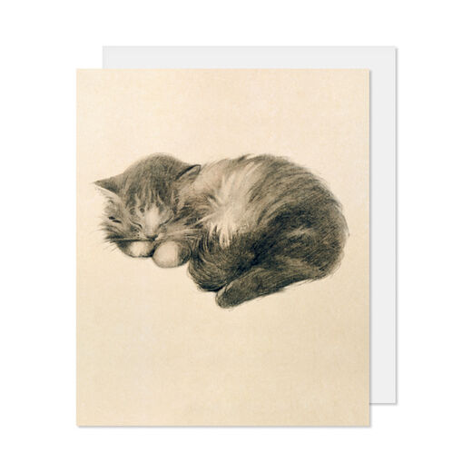 Persian kitten greeting card