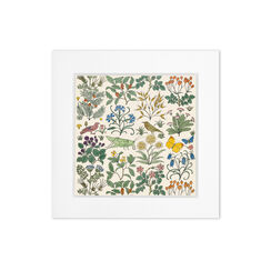 Design for a textile by C. F. A. Voysey - 8 x 8" mounted print