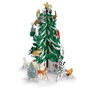 Christmas conifer advent calendar