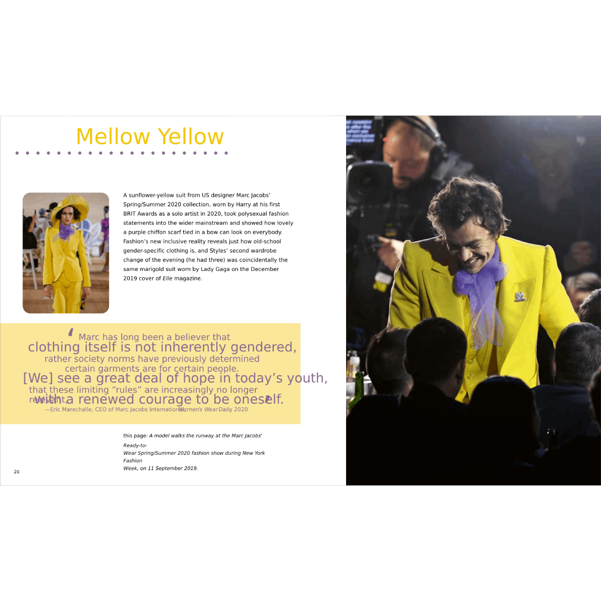 Harry Styles: And the Clothes He Wears