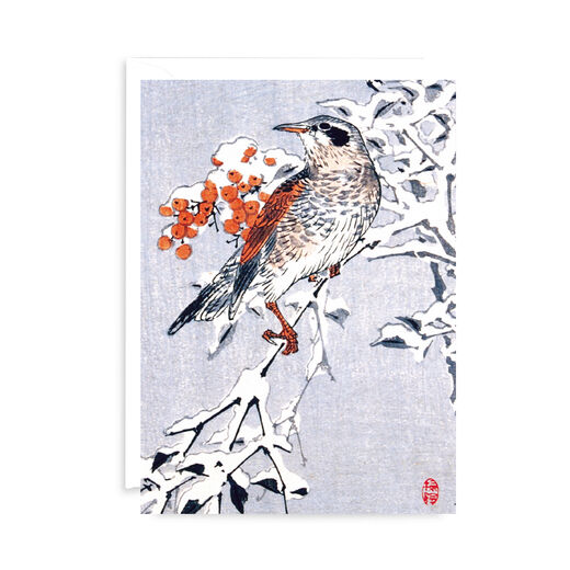 V&A Christmas cards - Redwing in winter (pack of 8)