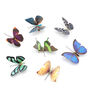Multicolour Butterfly Hairclip - assorted