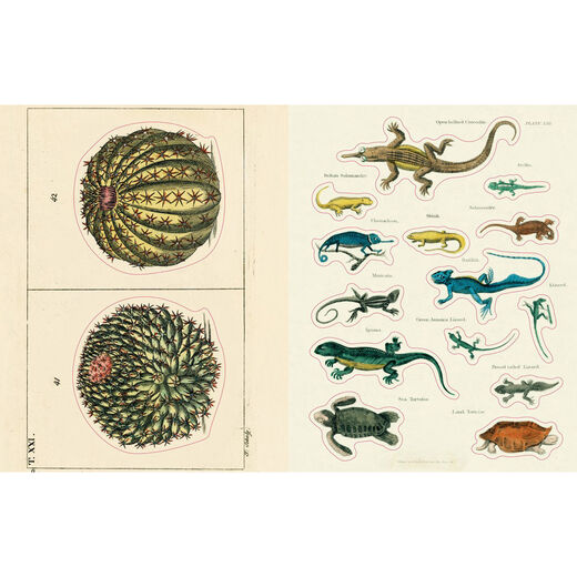 John Derian Sticker Book II