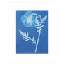 Cyanotype print featuring a white impression of a poppy flower.