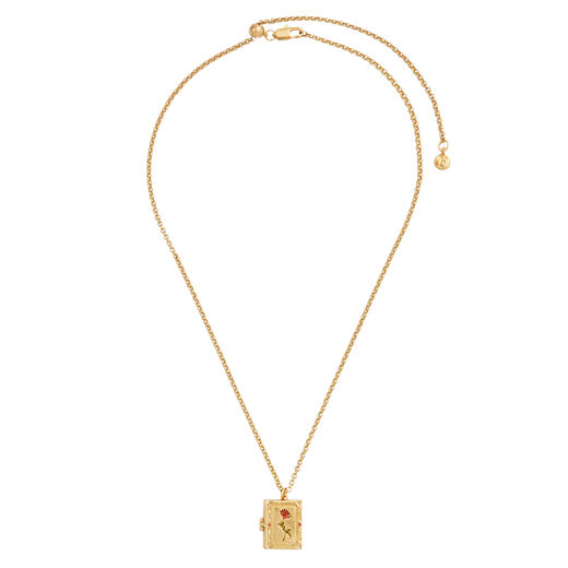 Secret diary locket necklace by Fable England