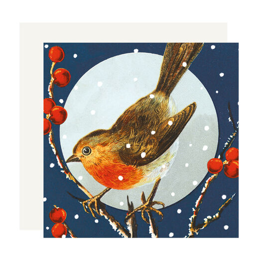 Robin and Rosehip card pack (pack of 8)