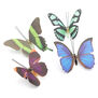 Multicolour Butterfly Hairclip - assorted