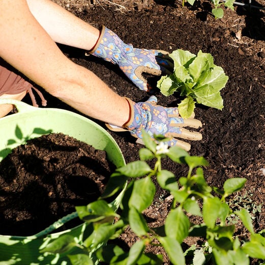 Bloom gardening gloves - Small