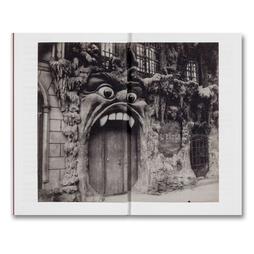 The Devouring Eye : Photography and the Mouth