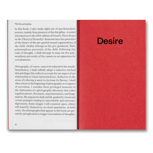 The Devouring Eye : Photography and the Mouth