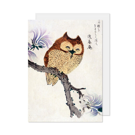 Owl on a Flowering Magnolia greeting card