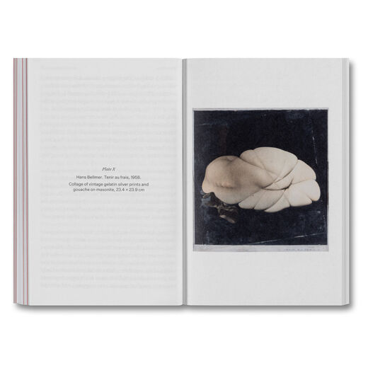 The Devouring Eye : Photography and the Mouth