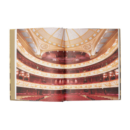 Opera: Passion, Power and Politics (hardcover)