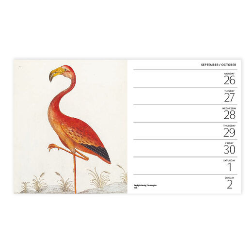 V&A Alice in Wonderland 2022 diary