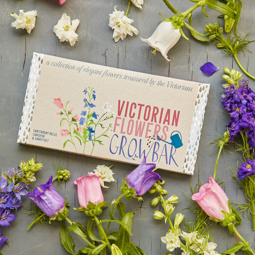 Victorian flowers growbar