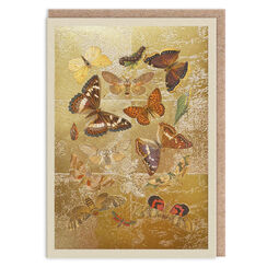 Dancing butterflies greeting card