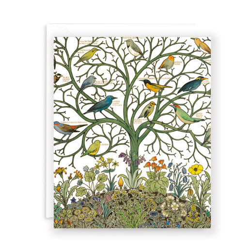 Birds of many climes greeting card