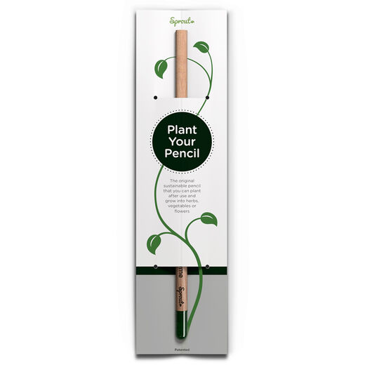 Thyme sprout pencil