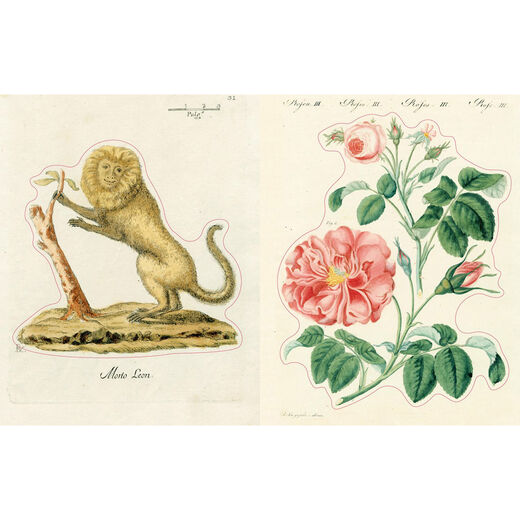 John Derian Sticker Book II