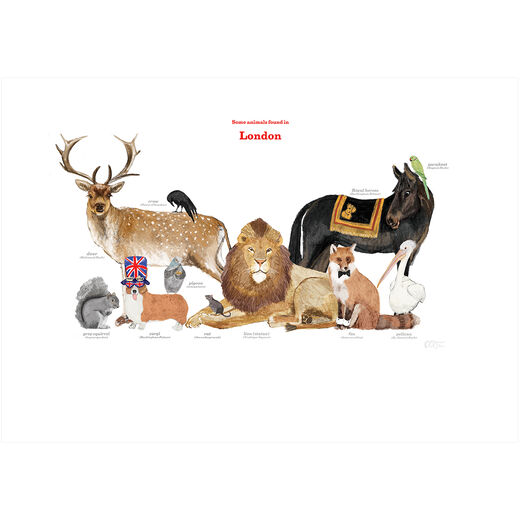 Animals Found in London print by Katie Viggers