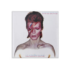 David Bowie Aladdin Sane album art magnet
