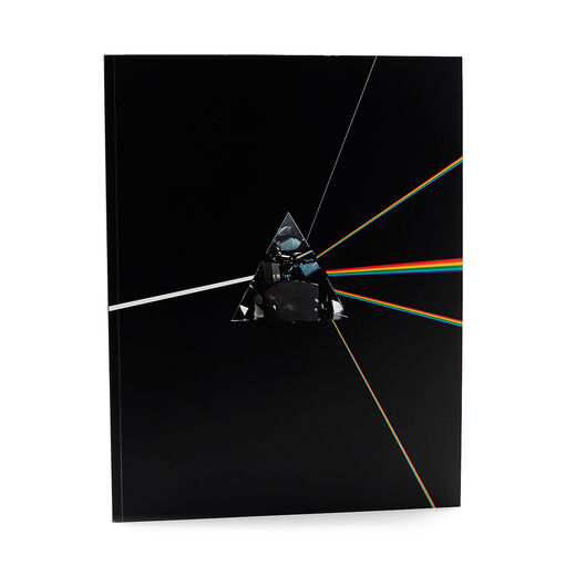 Pink Floyd: Their Mortal Remains (paperback)