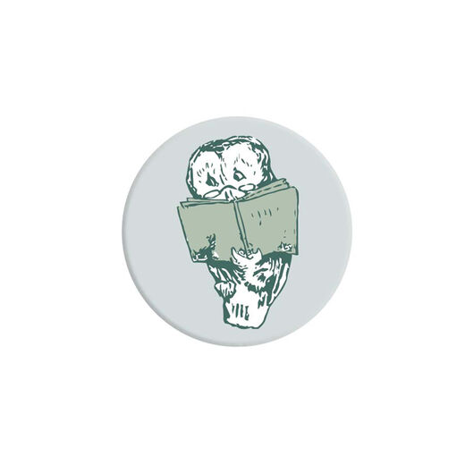 Beatrix Potter owl button badge