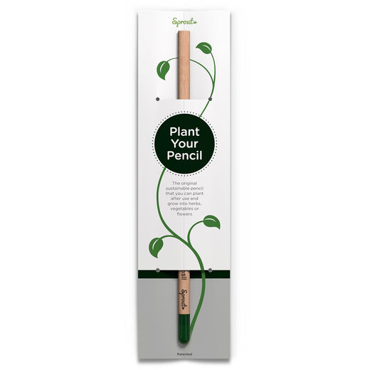 Basil sprout pencil