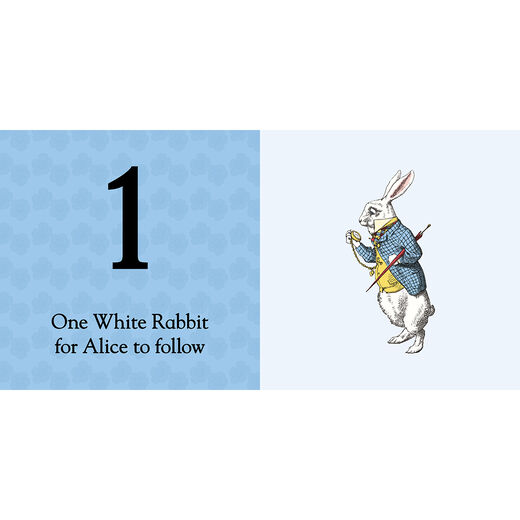 One White Rabbit: A Counting Book