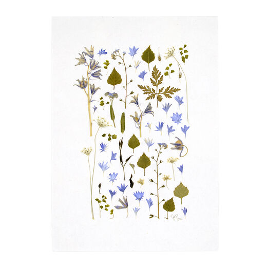 Cool tones dried flowers print by Flower & Press