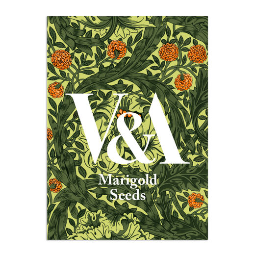 V&A Marigold seed pack
