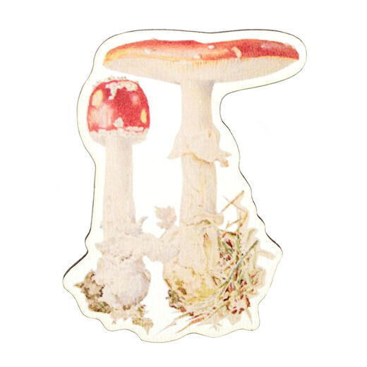 Beatrix Potter mushroom wooden magnet