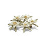 Edelweiss brooch by Michael Michaud