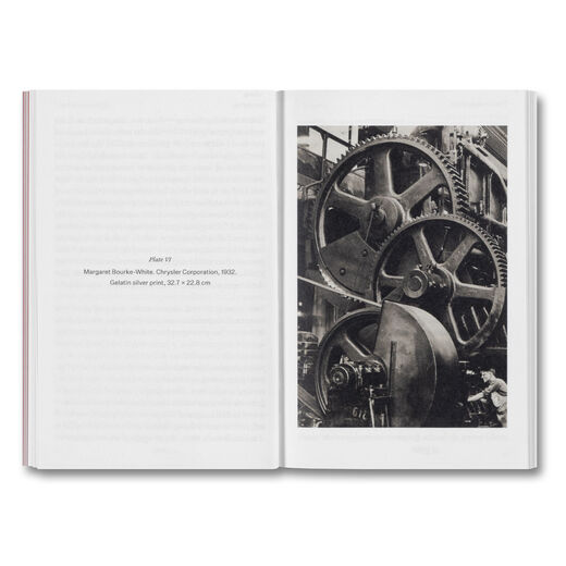 The Devouring Eye : Photography and the Mouth