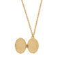Robin and blackberry locket necklace by Fable England